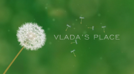 Cooking with Vlada Vladic videos